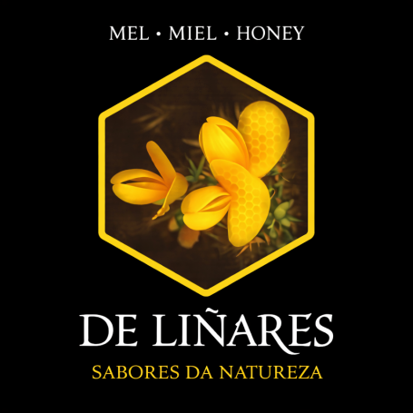 De Liñares pagina web de Mel De Liñares
